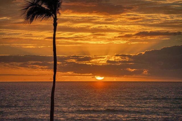 1821 Halama St, Kihei, HI 96753