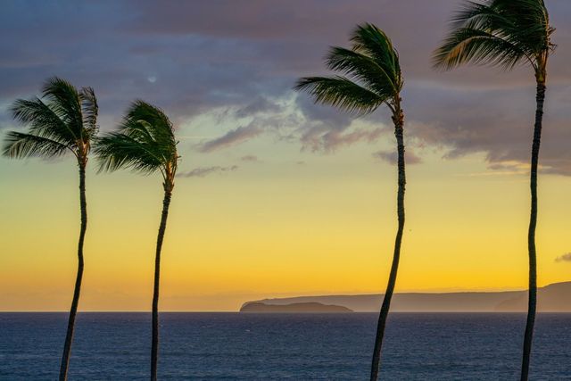 1821 Halama St, Kihei, HI 96753