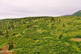 L12 B3 Snow Bear Drive, Anchorage, AK 99516