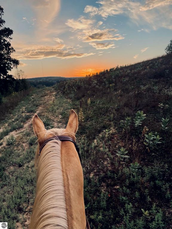 Image 27 of property listing at 8181 M-66 SE, Fife Lake, MI 49633