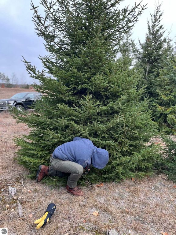 Image 29 of property listing at 8181 M-66 SE, Fife Lake, MI 49633