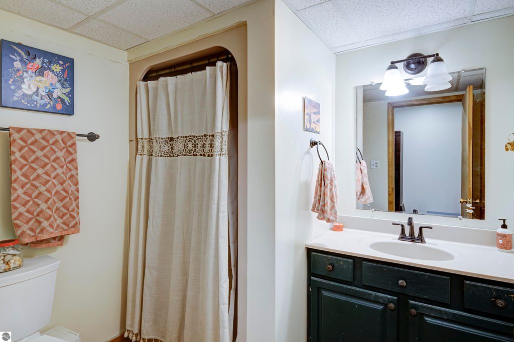 Image 59 of property listing at 8181 M-66 SE, Fife Lake, MI 49633