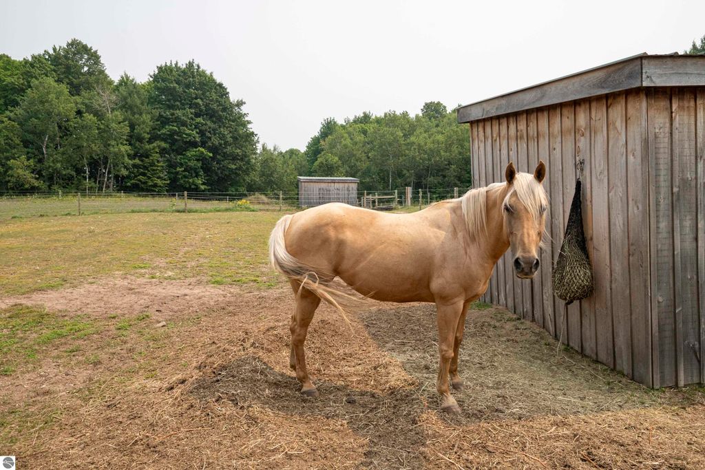 Image 73 of property listing at 8181 M-66 SE, Fife Lake, MI 49633