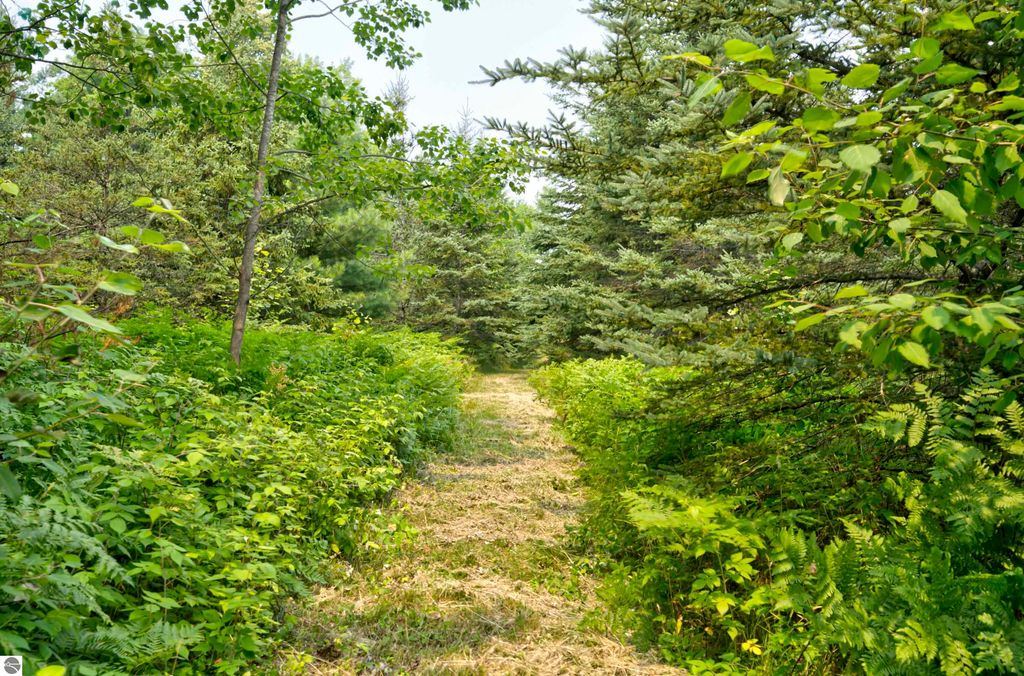 Image 83 of property listing at 8181 M-66 SE, Fife Lake, MI 49633