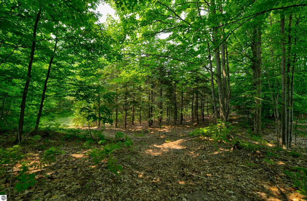 Image 85 of property listing at 8181 M-66 SE, Fife Lake, MI 49633