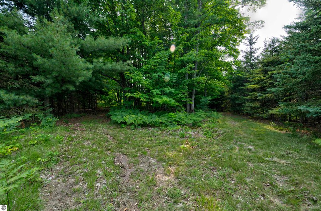 Image 86 of property listing at 8181 M-66 SE, Fife Lake, MI 49633