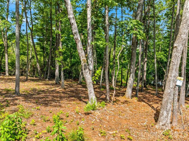 85 Powder Creek Trail, Arden, NC 28704