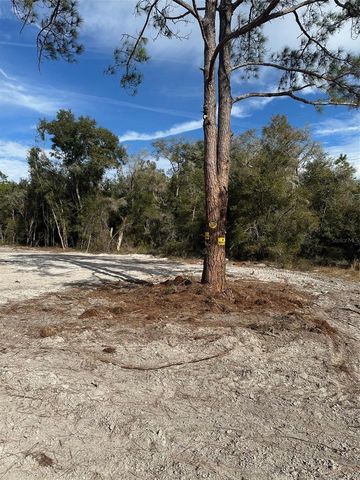 BERRYHILL DRIVE, Webster, FL 33597