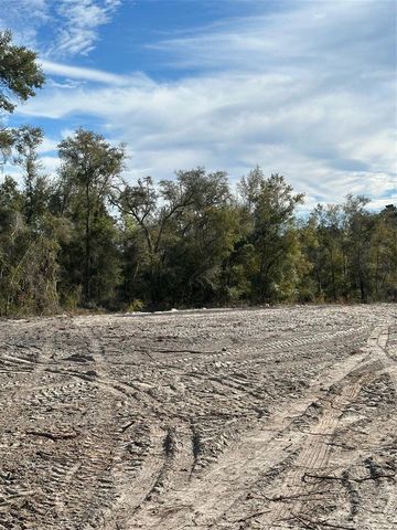 BERRYHILL DRIVE, Webster, FL 33597