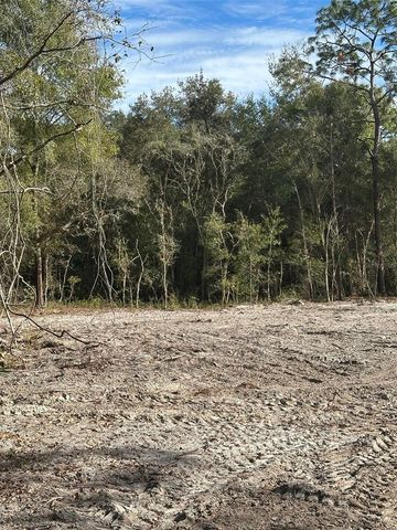 BERRYHILL DRIVE, Webster, FL 33597