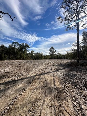 BERRYHILL DRIVE, Webster, FL 33597