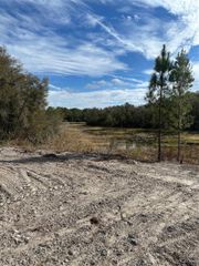 BERRYHILL DRIVE, Webster, FL 33597