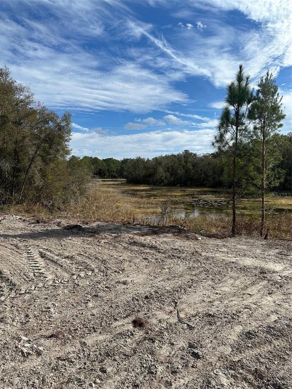 BERRYHILL DRIVE, Webster, FL 33597