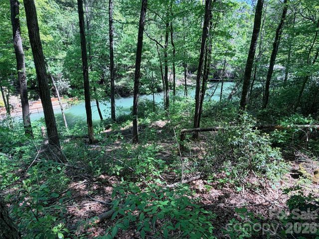 595 Quail Ridge Boulevard, Lake Lure, NC 28746