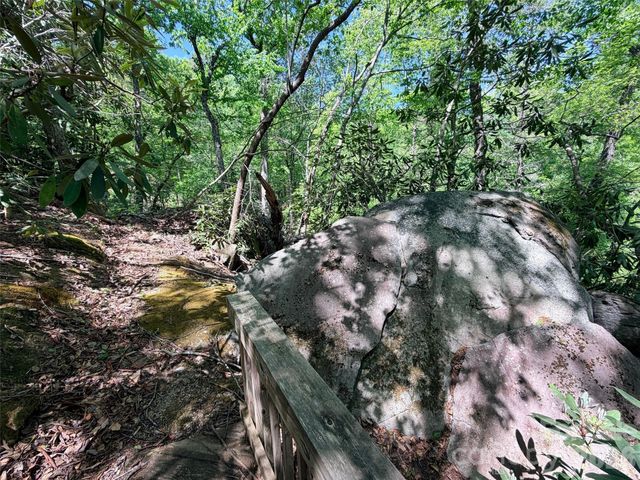 595 Quail Ridge Boulevard, Lake Lure, NC 28746