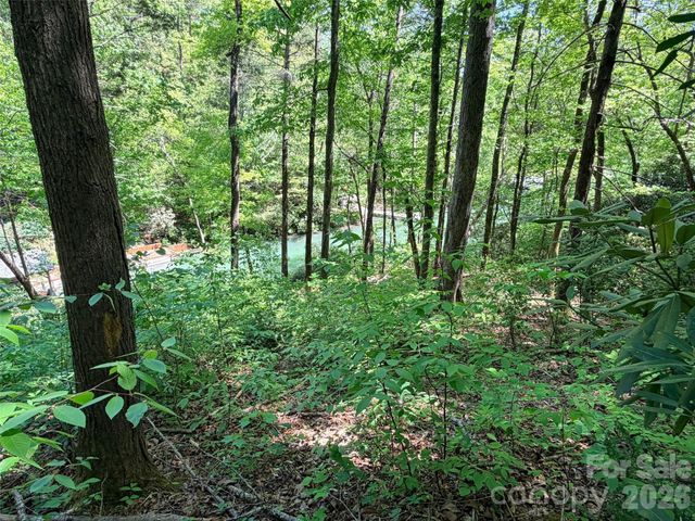 595 Quail Ridge Boulevard, Lake Lure, NC 28746