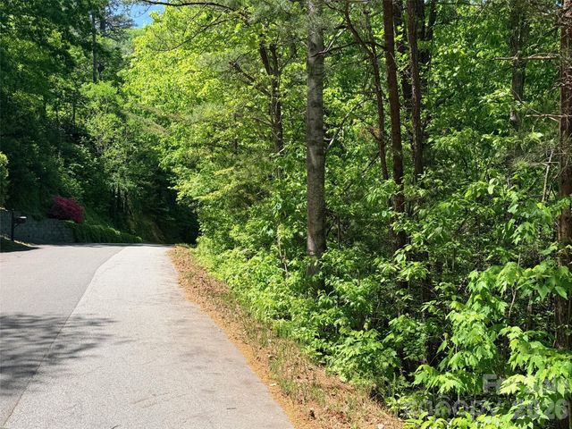 595 Quail Ridge Boulevard, Lake Lure, NC 28746