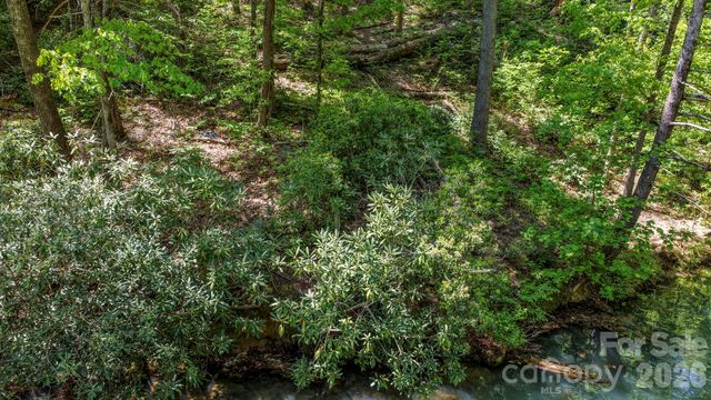 595 Quail Ridge Boulevard, Lake Lure, NC 28746