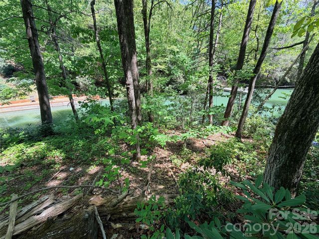 595 Quail Ridge Boulevard, Lake Lure, NC 28746
