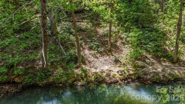 595 Quail Ridge Boulevard, Lake Lure, NC 28746