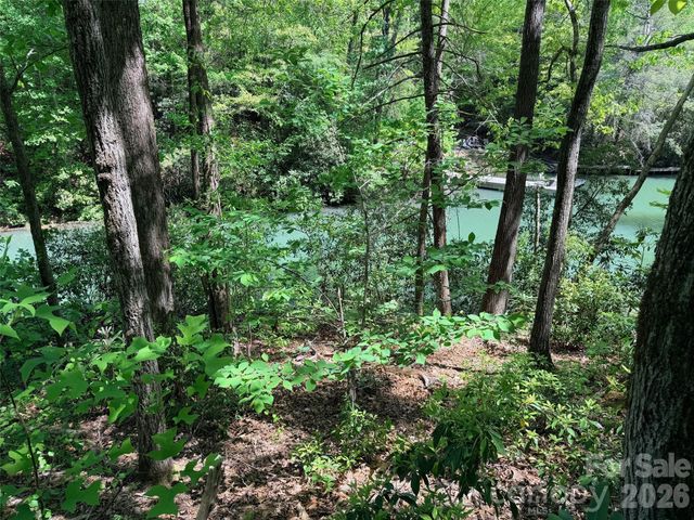 595 Quail Ridge Boulevard, Lake Lure, NC 28746
