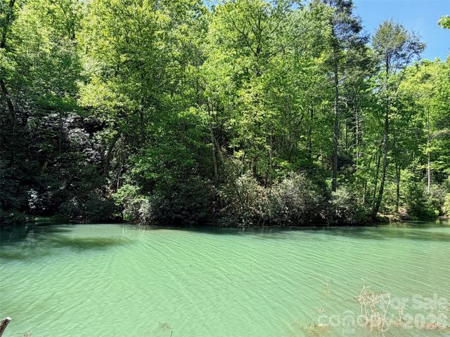 595 Quail Ridge Boulevard, Lake Lure, NC 28746
