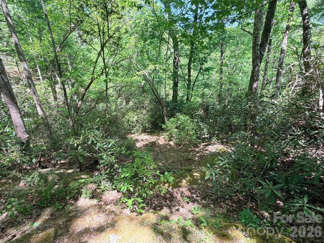 595 Quail Ridge Boulevard, Lake Lure, NC 28746