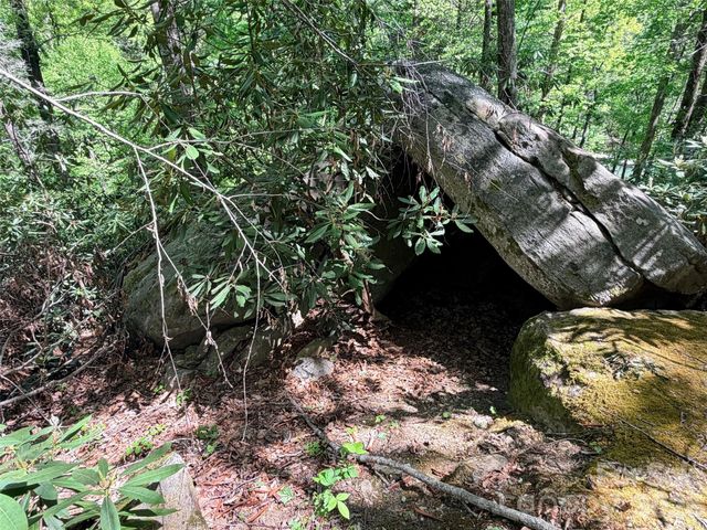 595 Quail Ridge Boulevard, Lake Lure, NC 28746