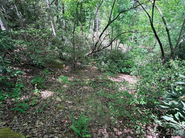 595 Quail Ridge Boulevard, Lake Lure, NC 28746