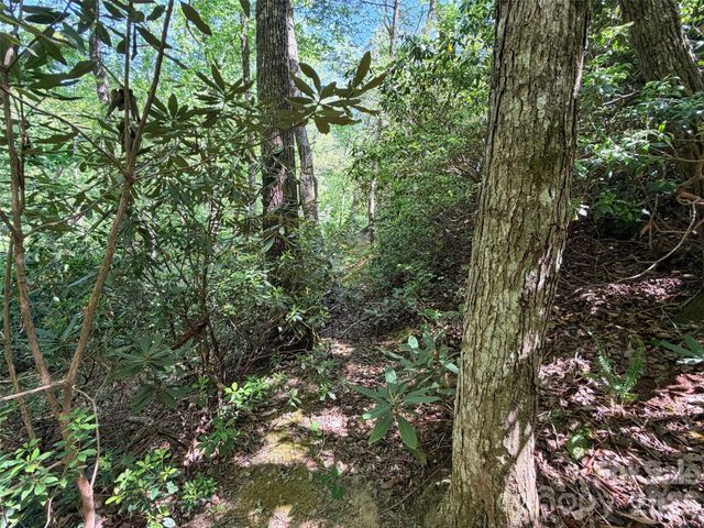595 Quail Ridge Boulevard, Lake Lure, NC 28746