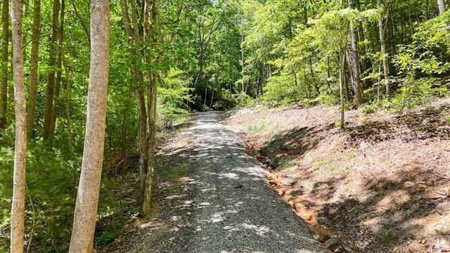 Tract 2 Fain Branch Road, Blairsville, GA 30512