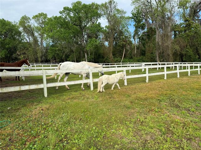 105 SWEET BAY LANE, Longwood, FL 32779