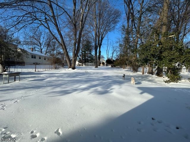 211 E 10Th Ave, Roselle Boro, NJ 07203