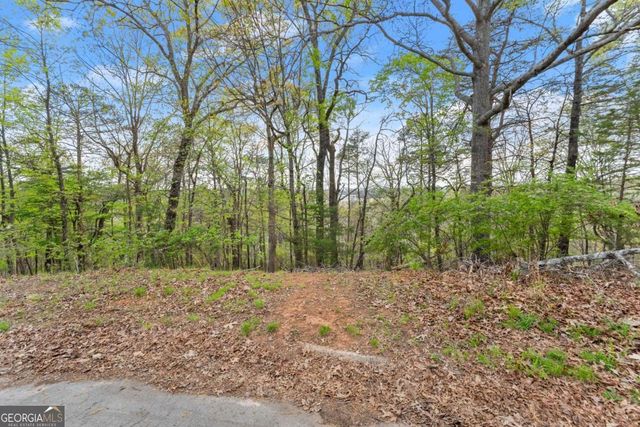 2517 Thompson Overlook, Gainesville, GA 30506