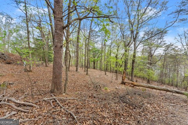 2517 Thompson Overlook, Gainesville, GA 30506