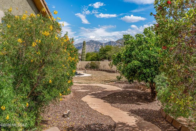 11962 N Grape Ivy Place, Oro Valley, AZ 85737