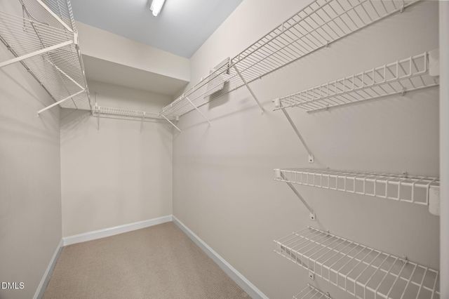 1031 Nicholwood Drive 205, Raleigh, NC 27605