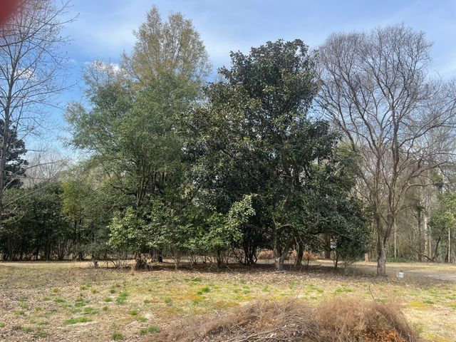 1343 Barnwell Drive, Sumter, SC 29154