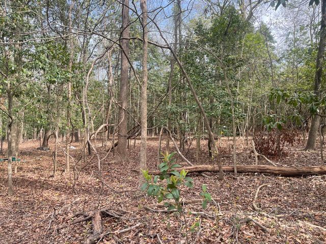 1343 Barnwell Drive, Sumter, SC 29154