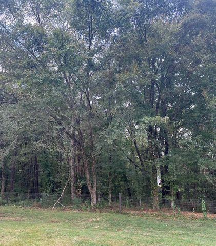 8930 LAKE HARDEMAN RD, Saulsbury, TN 38067