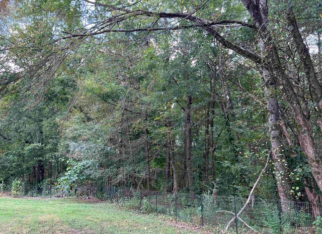 8930 LAKE HARDEMAN RD, Saulsbury, TN 38067