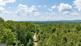 0 Buckhorn Road, Clarkesville, GA 30523