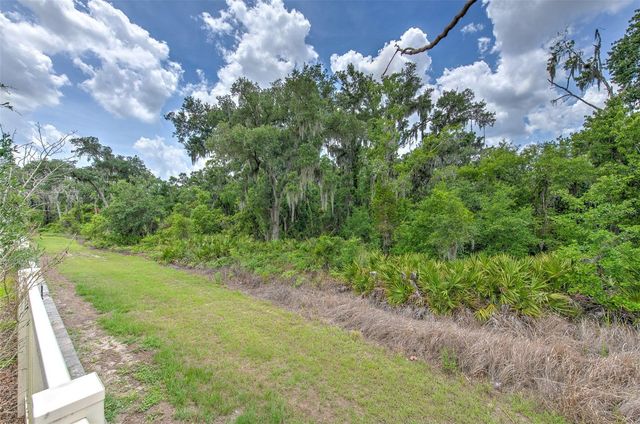 17334 WHITE MANGROVE DRIVE, Wimauma, FL 33598