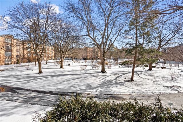 1107 S OLD WILKE Road 208, Arlington Heights, IL 60005