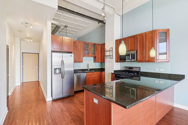 1791 W Howard Street 209, Chicago, IL 60626