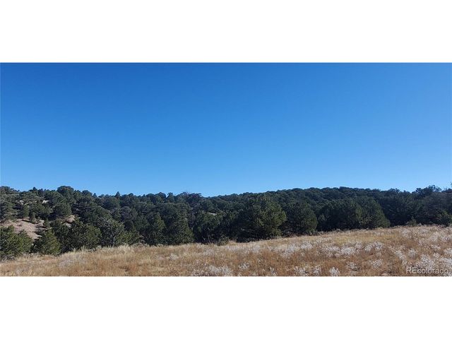 7356 Bidwell Rd, Fort Garland, CO 81133