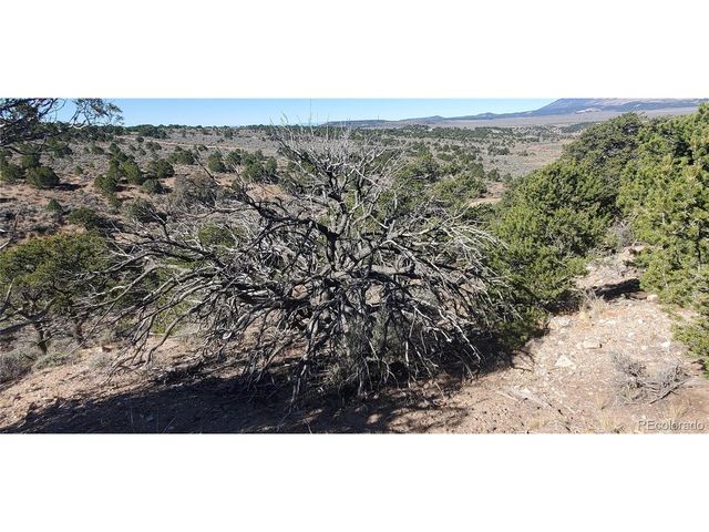 7356 Bidwell Rd, Fort Garland, CO 81133