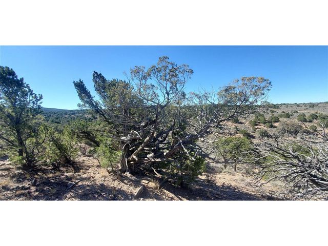 7356 Bidwell Rd, Fort Garland, CO 81133