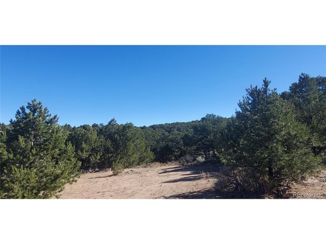 7356 Bidwell Rd, Fort Garland, CO 81133