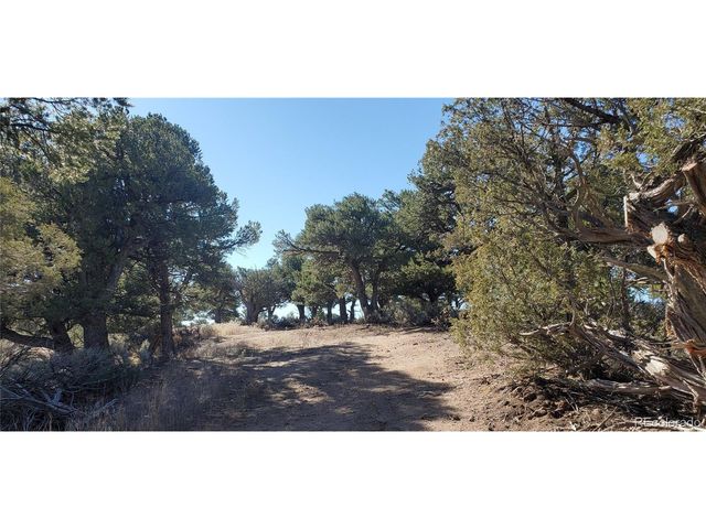 7356 Bidwell Rd, Fort Garland, CO 81133